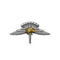 Halo Eagle Wings Sticker — Tactical Air Halo Emblem Decal