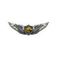 Eagle Aircrew Wings Sticker — Tactical Aviation Emblem Decal